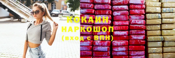 хмурый Алзамай
