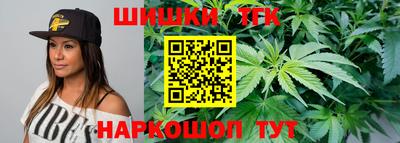 spice Гатчина