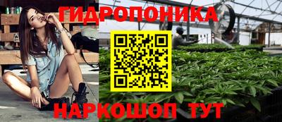 mdpv Гай