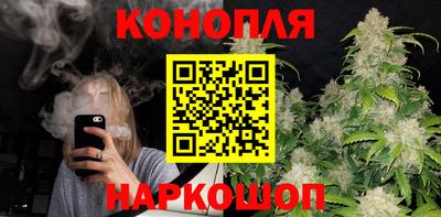 spice Гатчина