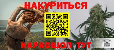 ГАЛЛЮЦИНОГЕННЫЕ ГРИБЫ Гагарин