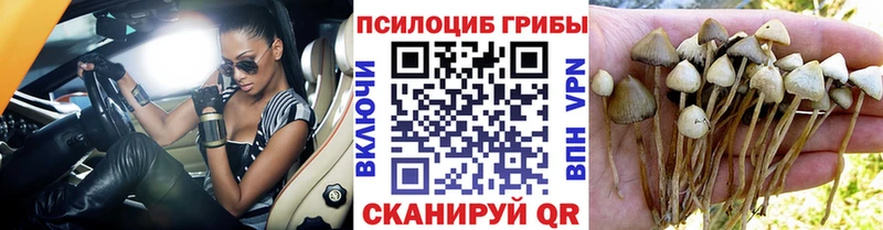 блэк спрут ссылка  Лесосибирск  Псилоцибиновые грибы ЛСД 