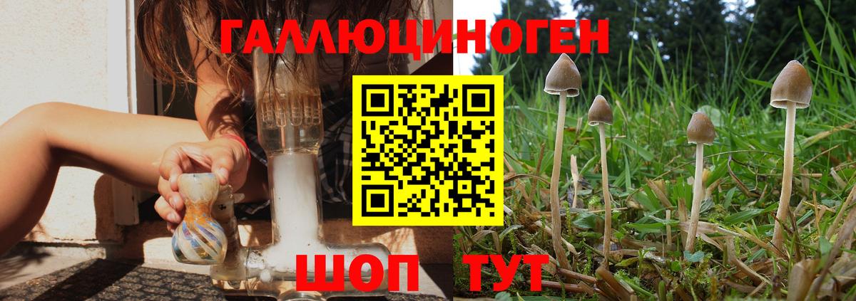 Галлюциногенные грибы мицелий  Галлюциногенные грибы Cubensis  Лесосибирск  Вход с VPN 